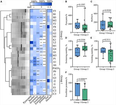 Phenotypic heterogeneity unveils a negative correlation between antibiotic resistance and quorum sensing in Pseudomonas aeruginosa clinical isolates